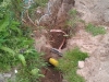 small_imag0644